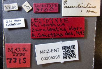 Media type: image;   Entomology 305335 Aspect: labels